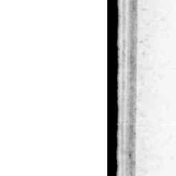 Image Tile