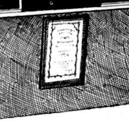 Image Tile