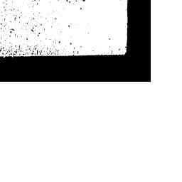 Image Tile