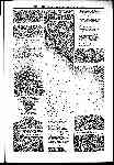 Page 11 thumbnail