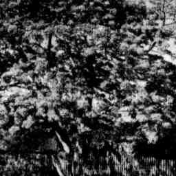 Image Tile