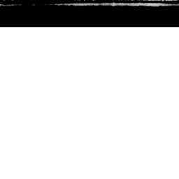 Image Tile