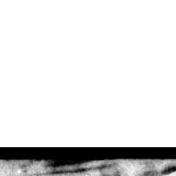 Image Tile