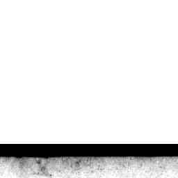 Image Tile