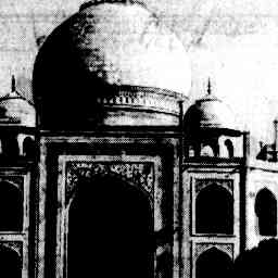 Image Tile