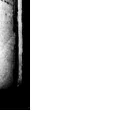 Image Tile