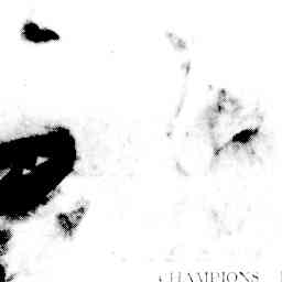 Image Tile