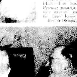 Image Tile