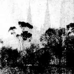 Image Tile