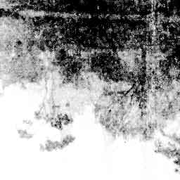 Image Tile