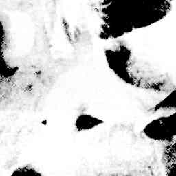 Image Tile