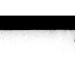 Image Tile