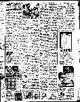 Page overview thumbnail