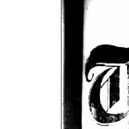 Image Tile