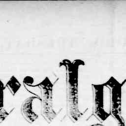 Image Tile