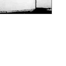 Image Tile