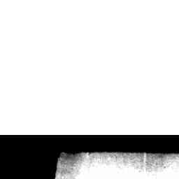 Image Tile