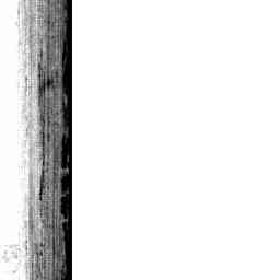 Image Tile