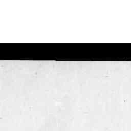 Image Tile