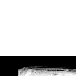 Image Tile