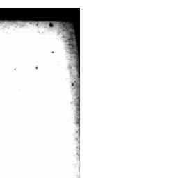Image Tile