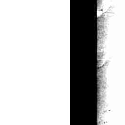 Image Tile