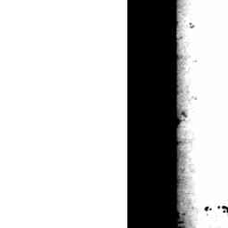 Image Tile