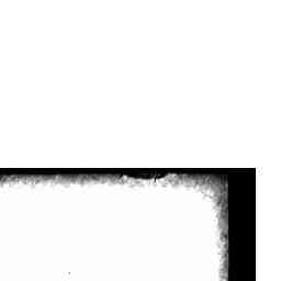Image Tile