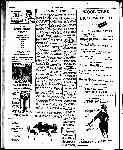 Page overview thumbnail