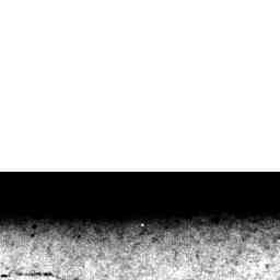 Image Tile