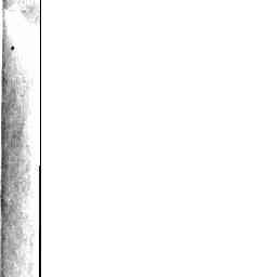 Image Tile