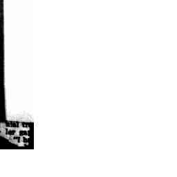Image Tile