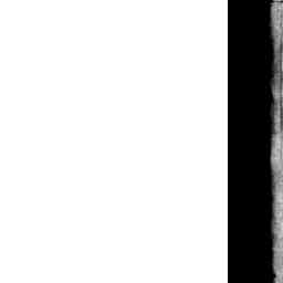 Image Tile
