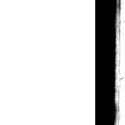 Image Tile