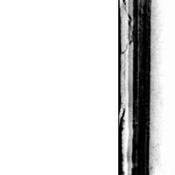 Image Tile
