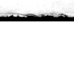 Image Tile