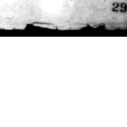 Image Tile