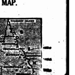 Image Tile