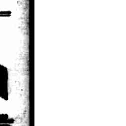 Image Tile