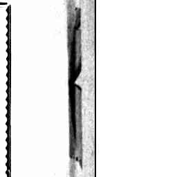 Image Tile