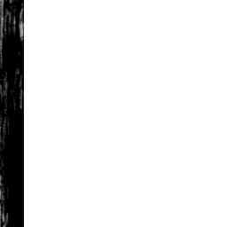 Image Tile
