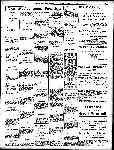 Page overview thumbnail