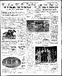 Page overview thumbnail