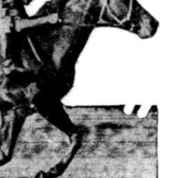 Image Tile