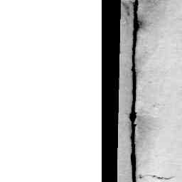 Image Tile