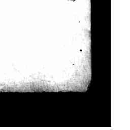 Image Tile