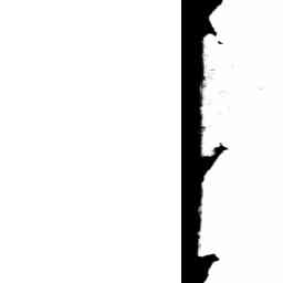 Image Tile