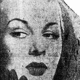 Image Tile