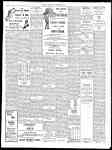 Page overview thumbnail