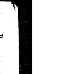 Image Tile